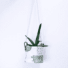 Hanging Planter 10cm - Image 2