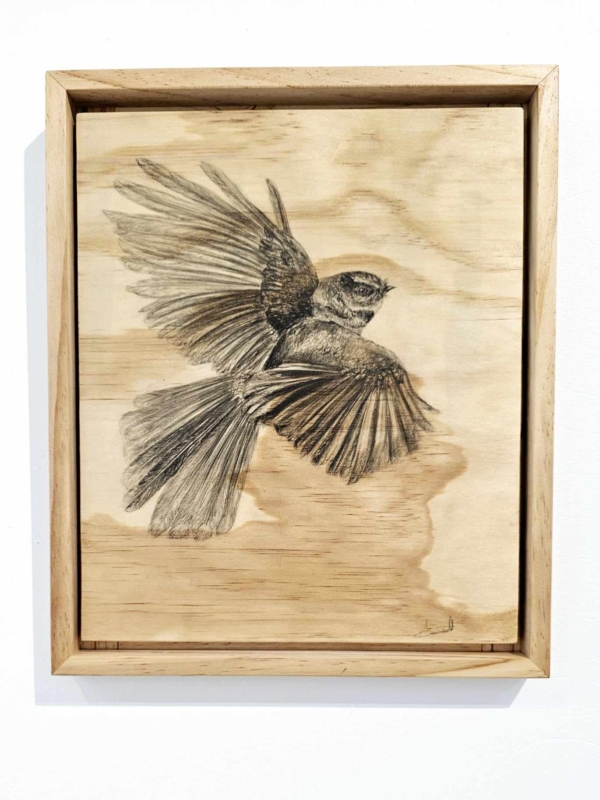 Anna Scott, Together We Soar