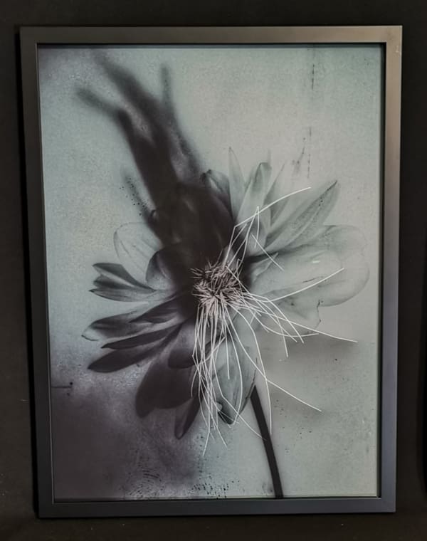 Robyn Morrison, Blue Tone Shadows