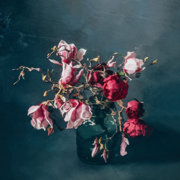 Catherine Cattanach, Magnolia #10