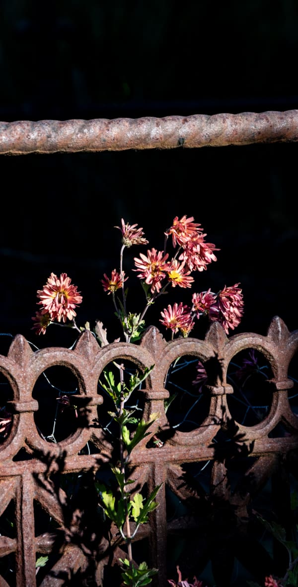 Derek Hughes, Ironwork