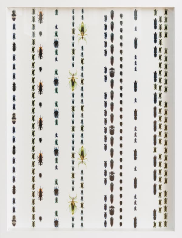 Mel Waite, Crawling Up the Walls
