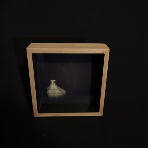 Robyn Morrison, On the Shelf