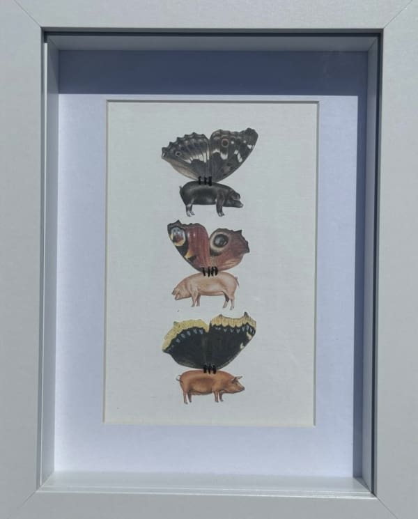 Portia Roper, Phoebe, Percy, Penny #27