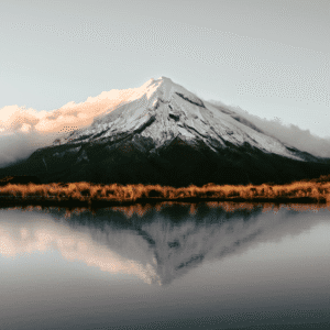 Locally Made – Made in Taranaki