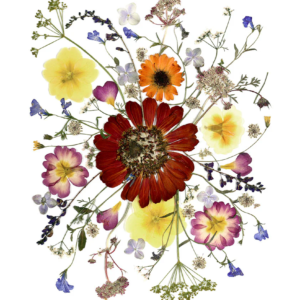 Ways With Wildflowers