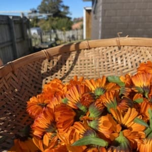 Found Magic Herbal Haircare