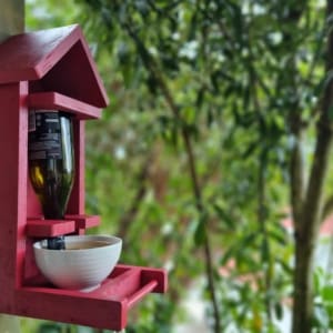 Birdhouses & feeders